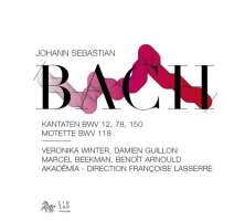 BACH: Cantatas BWV 12, 78 & 150, Motet BWV 118
